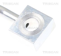 Furtun frana Triscan 8150 80211