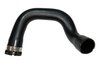 Furtun intercooler/turbo Bugiad 81753