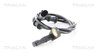 Senzor ABS Triscan 8180 23401