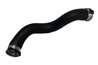 Furtun intercooler/turbo Bugiad 81851