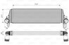 INTERCOOLER VALEO 818659 - Compatibil cu VW