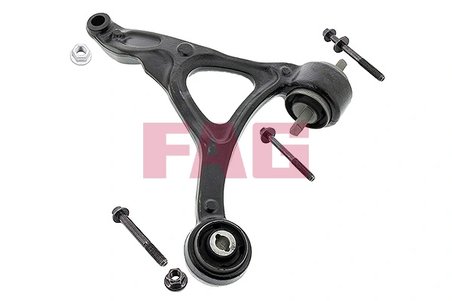 BRAT SUSPENSIE FAG 821 0665 10 - Compatibil cu VOLVO