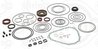 SET GARNITURI, TRANSMISIE AUTOMATA ELRING 821.460 - Compatibil cu AUDI, AUDI (FAW), VW