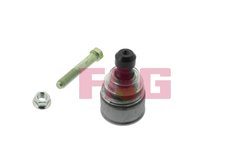 Pivot FAG 825 0020 10