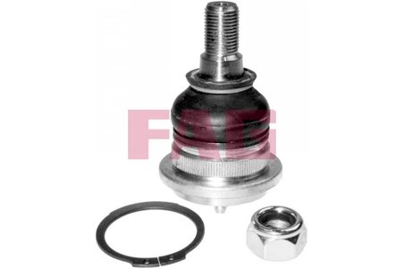 Pivot FAG 825 0034 10