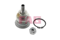 Pivot FAG 825 0037 10