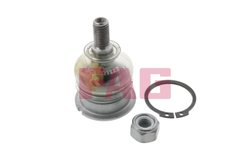 Pivot FAG 825 0038 10