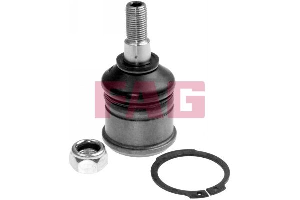 PIVOT FAG 825 0040 10 - Compatibil cu HONDA