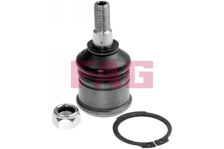 PIVOT FAG 825 0040 10 - Compatibil cu HONDA