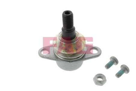 Pivot FAG 825 0053 10