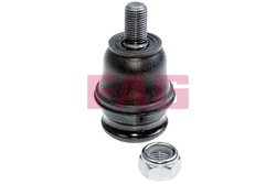 Pivot FAG 825 0077 10