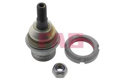 Pivot FAG 825 0079 10