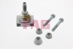 Cap de bara FAG 825 0093 10