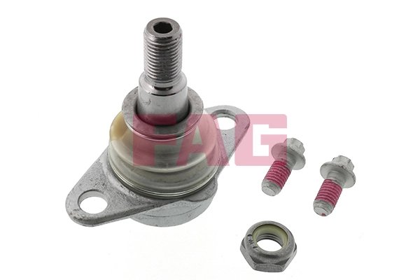 Pivot FAG 825 0118 10
