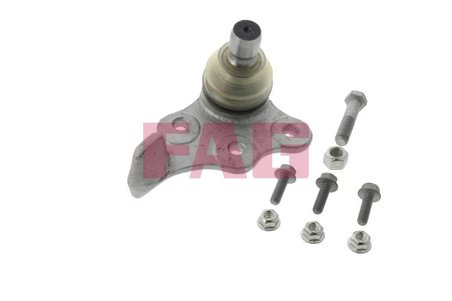 Pivot FAG 825 0122 10