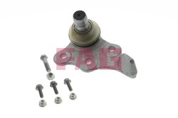 Pivot FAG 825 0124 10