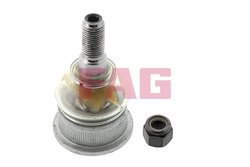 Pivot FAG 825 0158 10