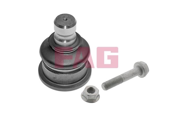PIVOT FAG 825 0168 10 - Compatibil cu DACIA, LADA, MAHINDRA, NISSAN, RENAULT