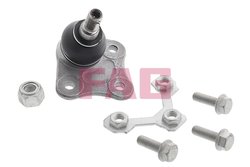 Pivot FAG 825 0172 10