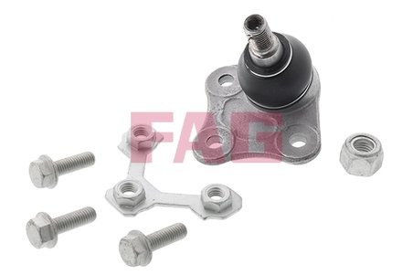 Pivot FAG 825 0173 10