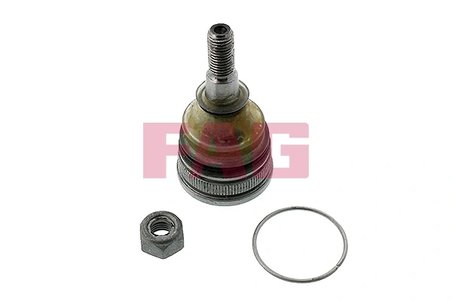 Pivot FAG 825 0179 10