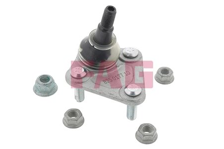 Pivot FAG 825 0177 10