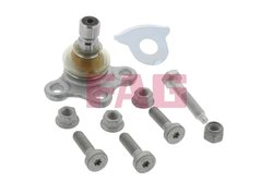 Pivot FAG 825 0224 10