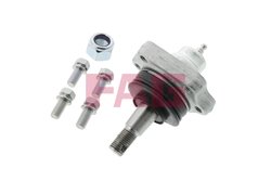 PIVOT FAG 825 0230 10 - Compatibil cu FORD, NISSAN
