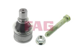 Pivot FAG 825 0246 10