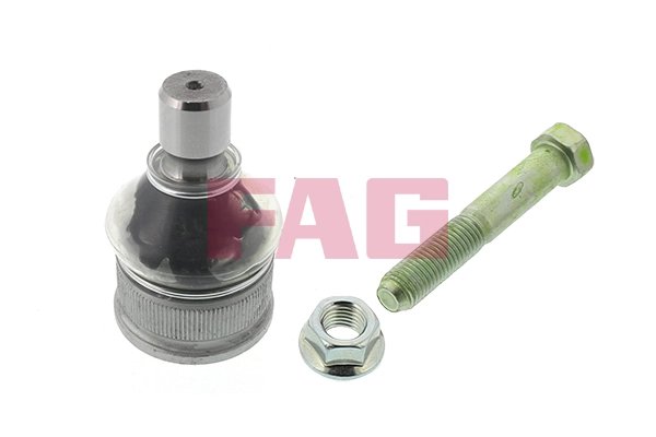 Pivot FAG 825 0246 10