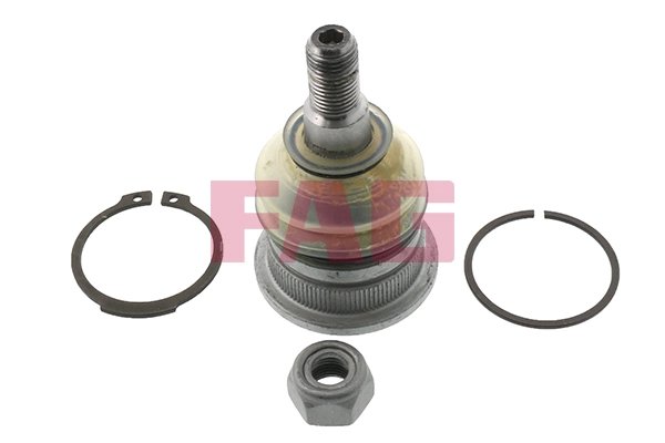 Pivot FAG 825 0251 10