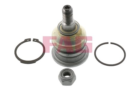 Pivot FAG 825 0251 10