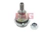 Pivot FAG 825 0256 10