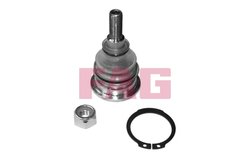 Pivot FAG 825 0257 10