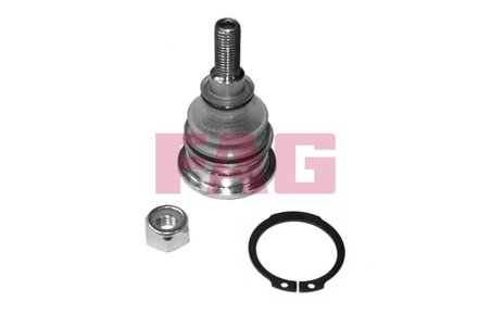 Pivot FAG 825 0257 10