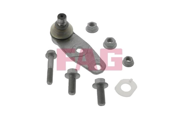Pivot FAG 825 0258 10