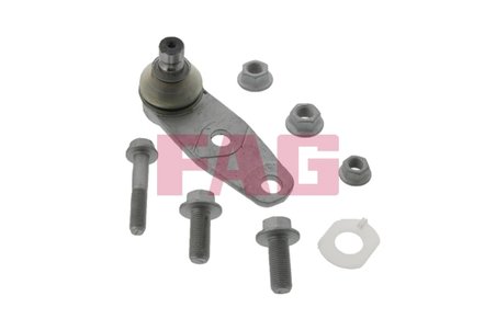 Pivot FAG 825 0258 10