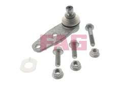 Pivot FAG 825 0259 10