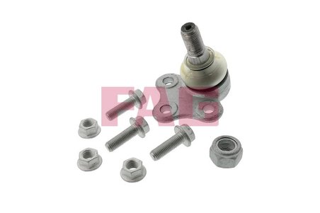 PIVOT FAG 825 0260 10 - Compatibil cu NISSAN, OPEL, RENAULT, VAUXHALL