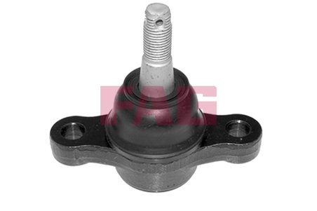 Pivot FAG 825 0263 10
