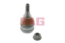 Pivot FAG 825 0267 10