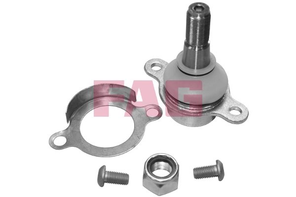 Pivot FAG 825 0273 10