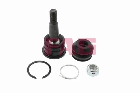 Pivot FAG 825 0299 10