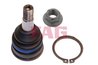 Pivot FAG 825 0306 10