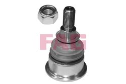 Pivot FAG 825 0313 10