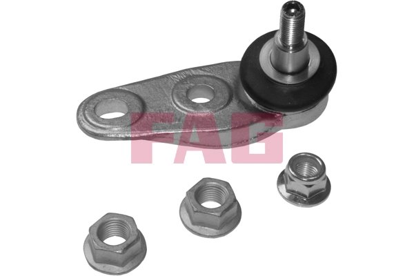 Pivot FAG 825 0312 10