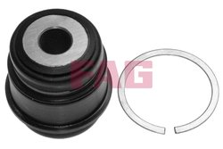 Pivot FAG 825 0317 10