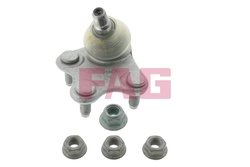 Pivot FAG 825 0325 10