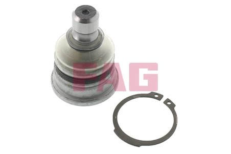 Pivot FAG 825 0338 10