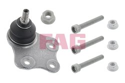 Pivot FAG 825 0344 10